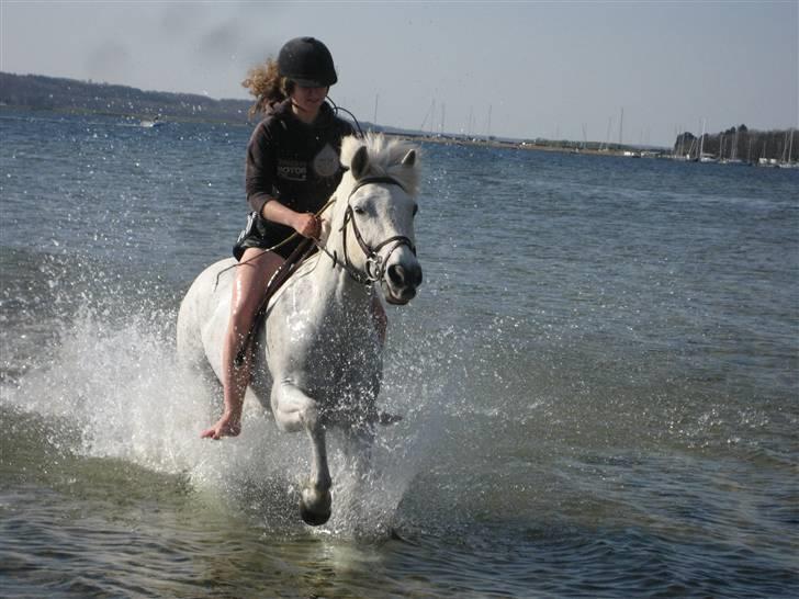 Connemara Lucky strike billede 2