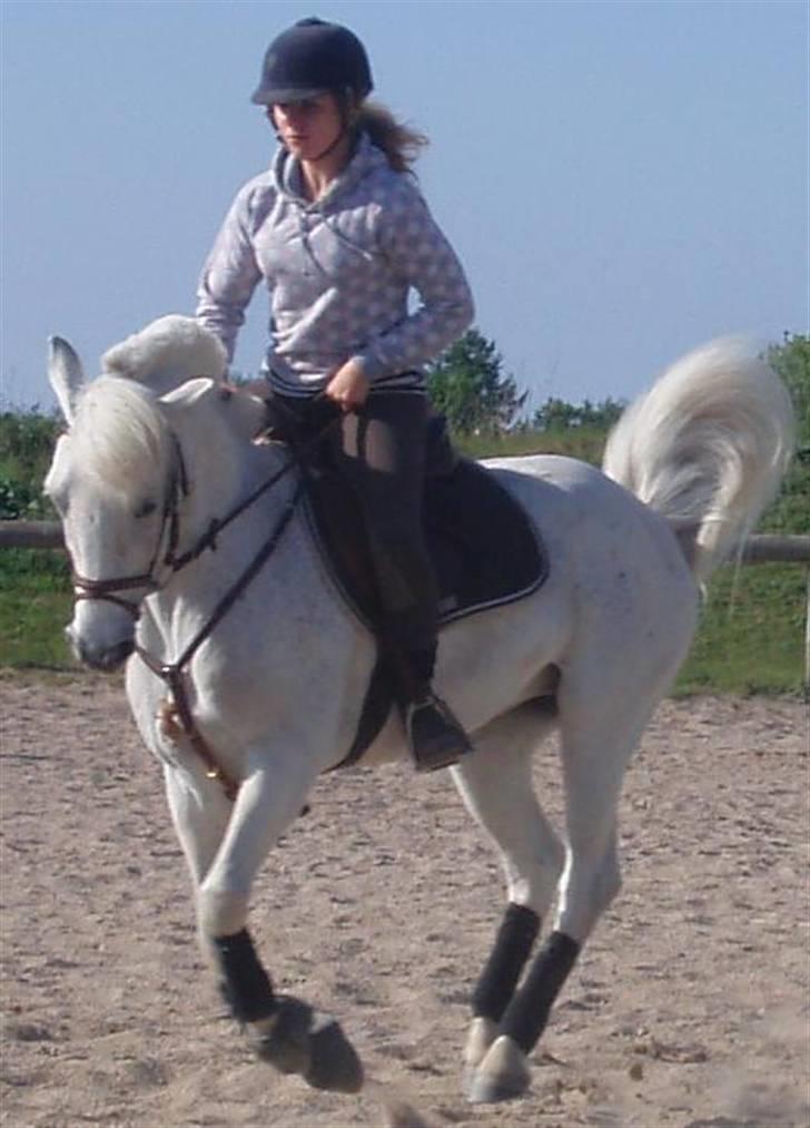 Connemara Lucky strike - . hehe her chanchere han (; eller hvordan det nu staves ? (; billede 5