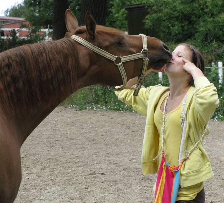 DSP Firhøjs Nobi - min engel -    uhh !!; .. the perfect team !! billede 12