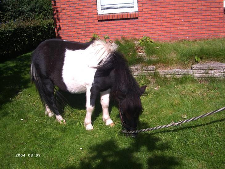 {{currentPhoto.altText}} billede {{currentPhoto.number}}