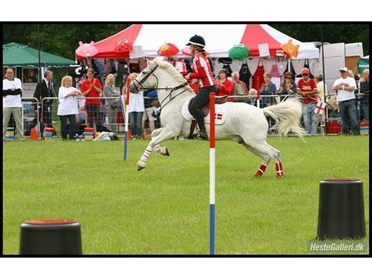 {{currentPhoto.altText}} billede {{currentPhoto.number}}