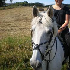 Anden særlig race FILUR <3 *SAVN* :(