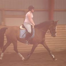 Hollandsk Varmblod Djuno/Lux :'( Aflivet :'(