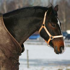 Oldenborg Fabienne af Hvarre