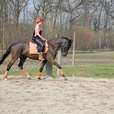 Anden særlig race Prince Charming SOLGT :'(