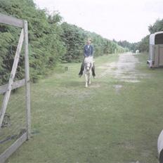 Anden særlig race Minna (død)