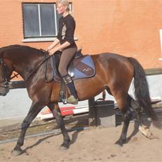 Oldenborg Jasmin(har haft )