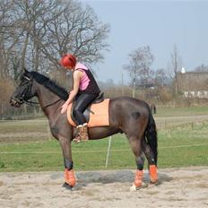 Anden særlig race Prince Charming SOLGT :'(