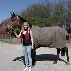 Dansk Varmblod Kara SOLGT