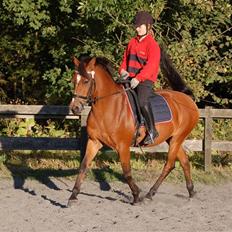 Anden særlig race Panick ( Solgt ) - R.I.P <3