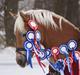 Haflinger Aphrodite Vant Tempelshof