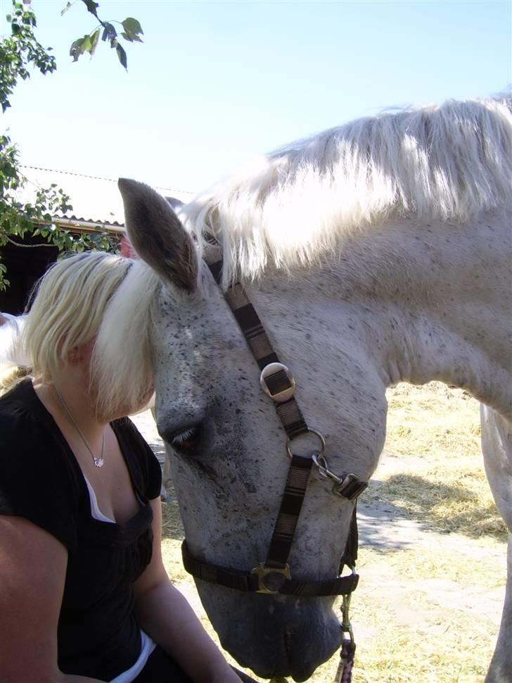 Anden særlig race FILUR <3 *SAVN* :( - NYT 2/7.09 : min Basse har rigtig meget øjenbetændelse :(.Filur jeg elsker dig så meget... FOTO;ANITA billede 5