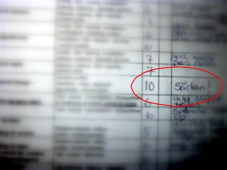 Fjordhest Bartoldi - Bartoldis karakter i en LA4 til DM og NM i parade og tilbage trædning. Givet af en C-dommer billede 2