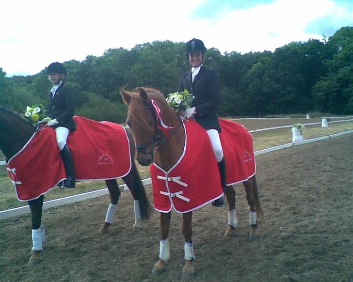 Hollandsk Sportspony Amadeus SOLGT - Sydjysk mesterskab for hold 2007 i vejle rideklub (VRK) billede 5
