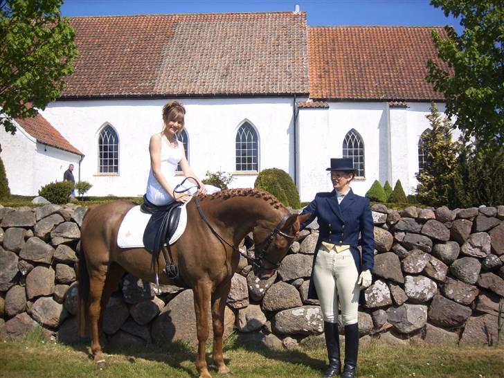 Hollandsk Sportspony Amadeus SOLGT - til min konfimation var amse selvfølgelig også med billede 6