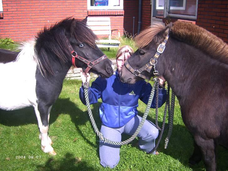 Shetlænder Plys *Solgt* :( - Gode venner, hygge stund :) billede 6