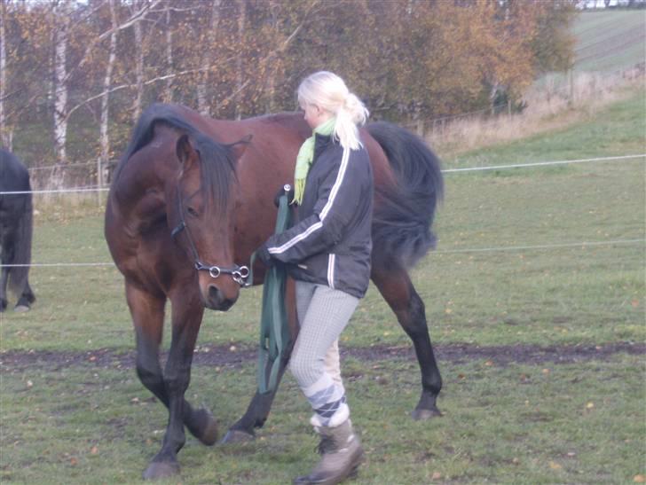 Traver Gandhi  - Nr. 11 / Lidt træning fra jorden .. <33 Foto: Rikke C billede 9