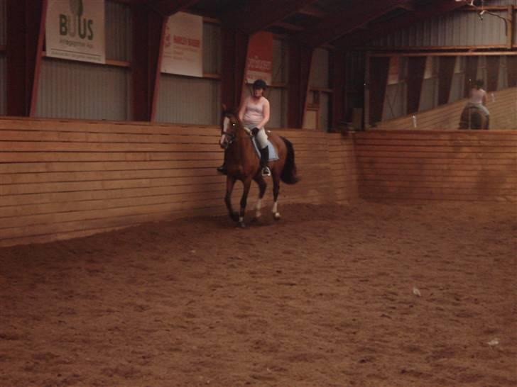 Hollandsk Varmblod Djuno/Lux :'( Aflivet :'( - Jeg savner dig :´( billede 3