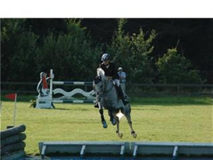 Sportsaraber (A) Simba - her ses vi i fuld færd med at pacere vandgraven i SB. billedet er taget af A. hulehøj.    billede 4