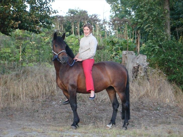 New Forest Angelique<3 R.I.P  - Jeg savner dig!<3 billede 8