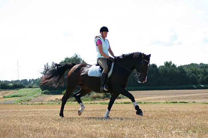 Oldenborg Fabienne af Hvarre - Mig og min tulle-tut på marken d. 13 august 2009 billede 4