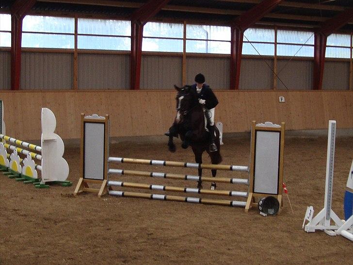 Oldenborg Fabienne af Hvarre - Fabienne og jeg til vores første springstævne d. 26 september 2010. billede 5