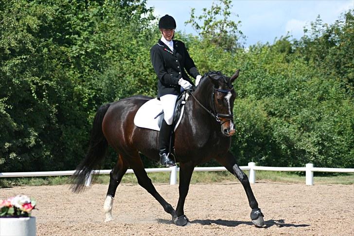 Oldenborg Fabienne af Hvarre - Fabienne og jeg i en Lb1, ved dressur cuppen for hold på NOA gård d. 18 Juli 2010 billede 8