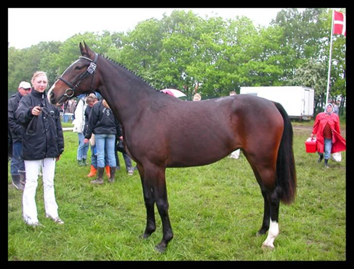 Oldenborg Fabienne af Hvarre - Fabienne og jeg, på roskilde dyrskue 2005 billede 10