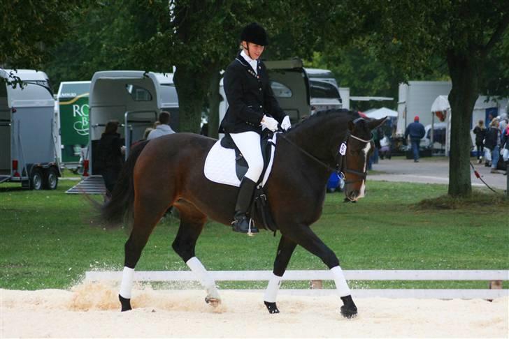 Oldenborg Fabienne af Hvarre - Fabienne og jeg til store hestedag d. 5 September 2009, hvor vi blev placeret som nr. 2 i en Lb  billede 12