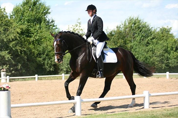 Oldenborg Fabienne af Hvarre - Fabienne og jeg i en Lb1, ved dressur cuppen for hold på NOA gård d. 18 Juli 2010 billede 13