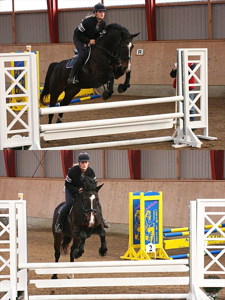 Oldenborg Fabienne af Hvarre - Jumping horse :-) Til træningsstævne med Josefine Cady. d. 10 oktober 2010 billede 16