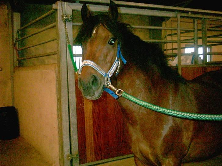 DSP Mattis - 9# Du miijn.. <33 billede 9