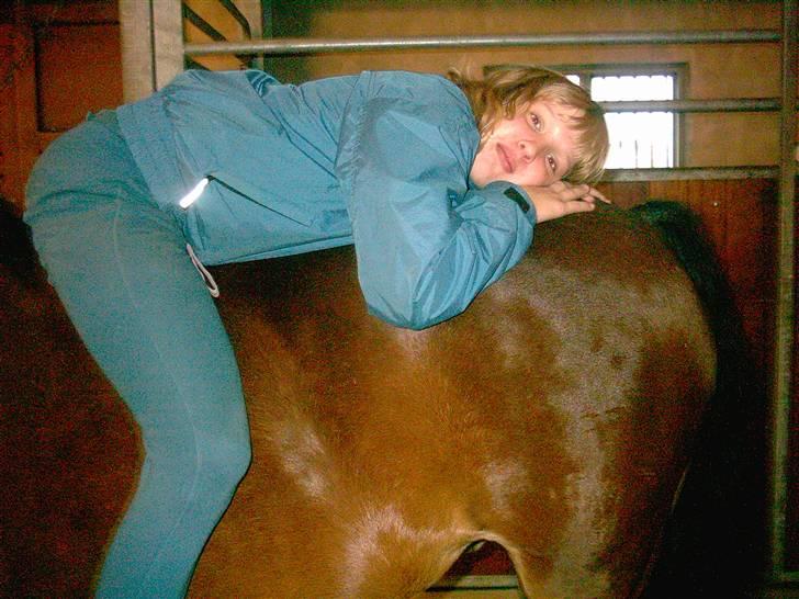 DSP Mattis - 10# Total hyge på stald gangen.. billede 10