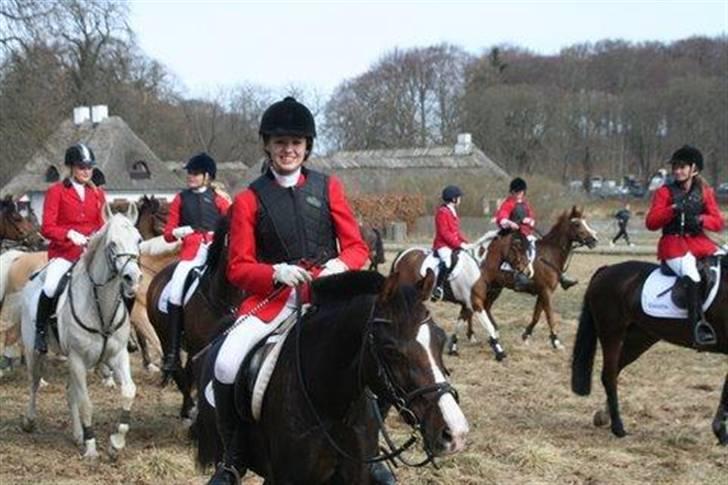 DSP Red Lady -  tidl. pony R.I.P :'( - Efter en super flot, fuldført begynderjagt!! (: billede 15