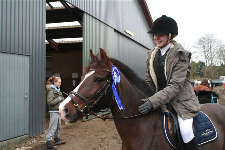 DSP Red Lady -  tidl. pony R.I.P :'( - Elsk på min dejlige pony - læg gerne en kommentar og en bedømmelse! billede 19