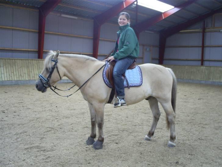 Fjordhest Thor Aalykke SOLGT 1 jan  - Camilla rider på Thor, sidste gang vi var sammen inden jeg tog a sted :-(<3 billede 10