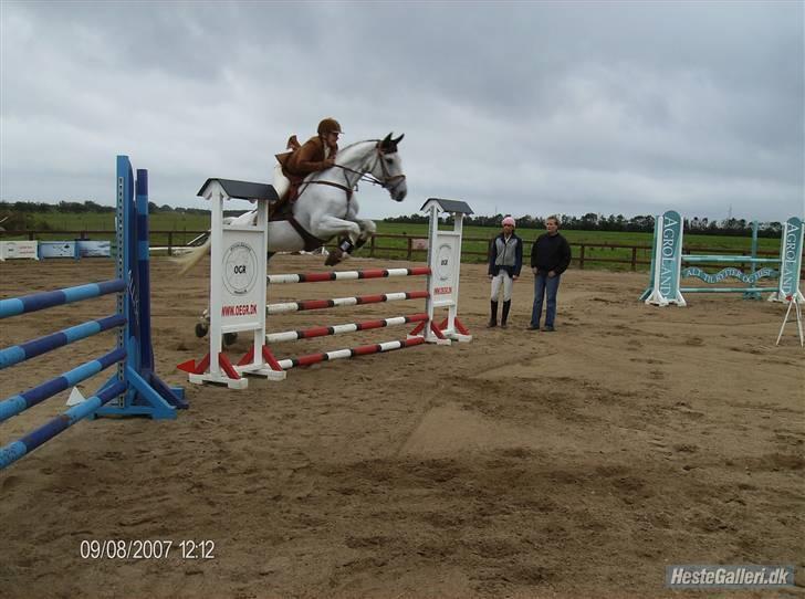 Dansk Varmblod La-Troya - solgt. - Troya og Pia, LB. C-stævne på ØGR 9. sep. ´07 billede 18