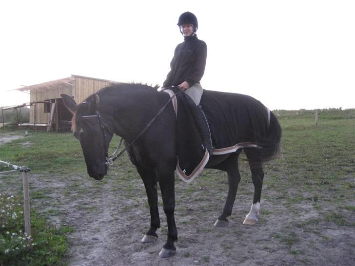 Oldenborg ¤Sweety¤Rider ikke mere¤ - September 07, lige inden vi gik ned og sadlede af :) billede 13