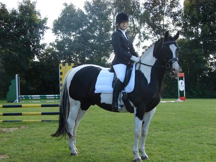 Pinto Tajhs <33 - hej, hej alle sammen. =) billede 20
