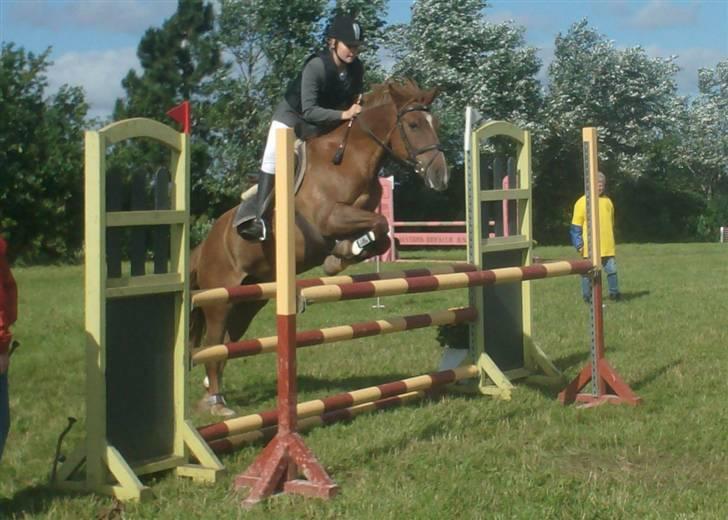 Anden særlig race  * Simon *   (Solgt) :'(  billede 16