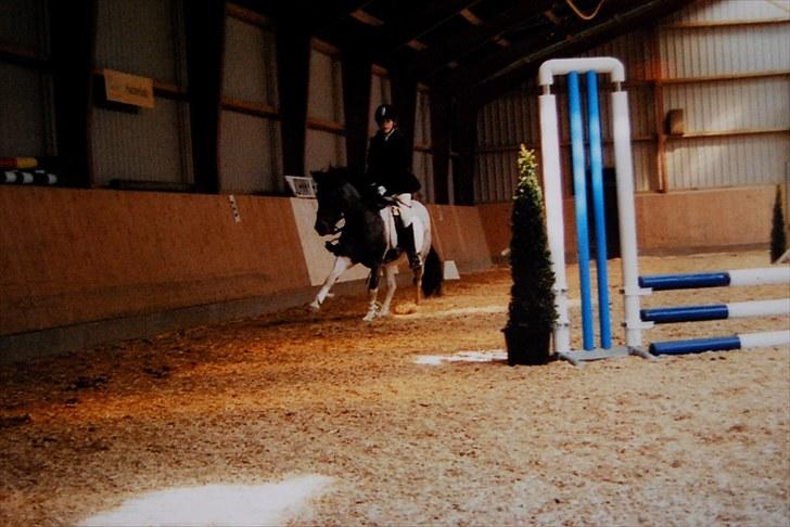 Pinto Solvej †   - Af hinandens opdagelser  Kig på verden  Og lad mig vide  His du finder frem til livets gåde  billede 14