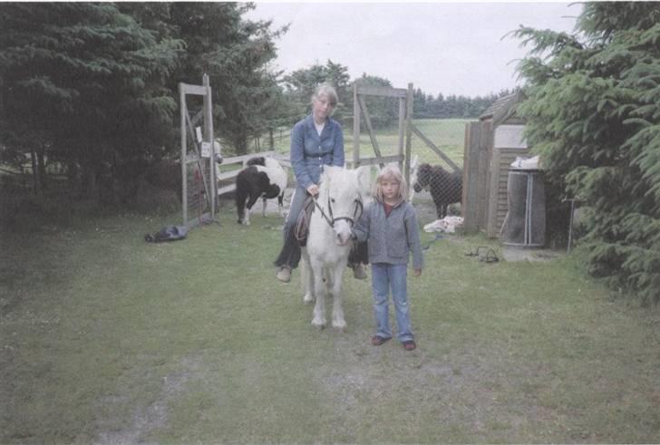 Anden særlig race Minna (død) billede 3