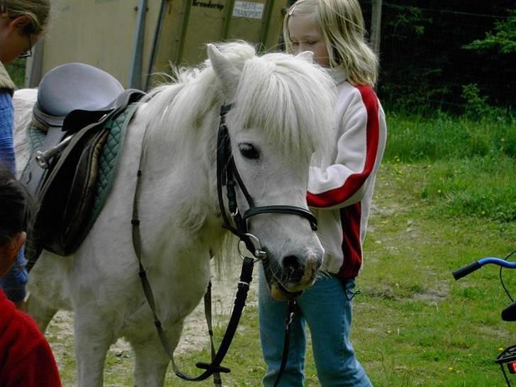 Anden særlig race Minna (død) billede 5