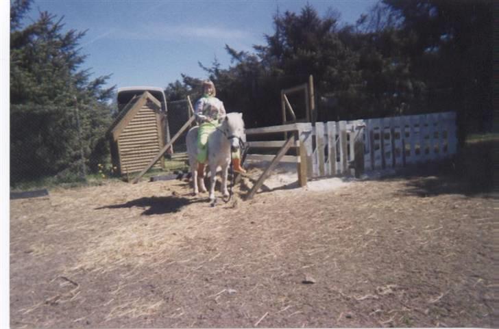 Anden særlig race Minna (død) billede 14