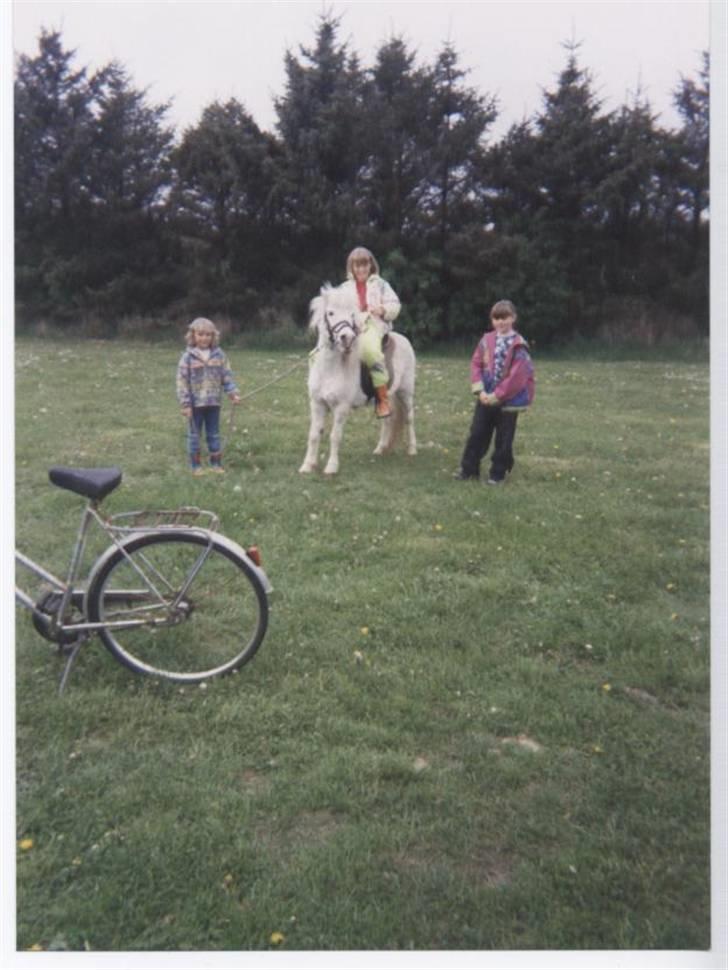 Anden særlig race Minna (død) billede 15