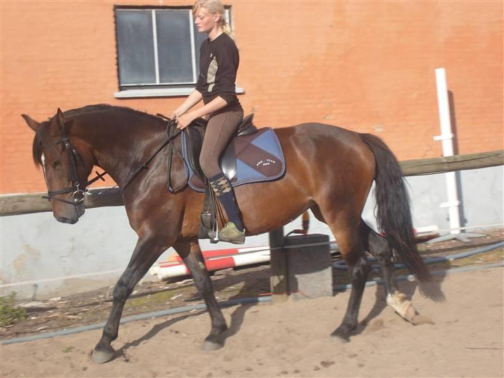 Oldenborg Jasmin(har haft ) - må ikk kopiers..  billede 2