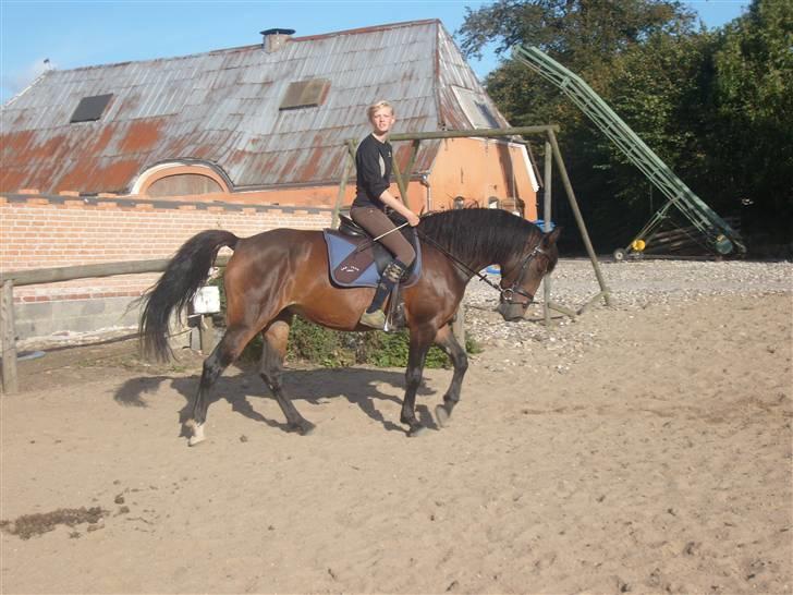 Oldenborg Jasmin(har haft ) - må ikk kopiers..  billede 3