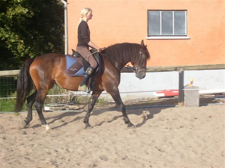Oldenborg Jasmin(har haft ) - må ikk kopiers..  billede 4