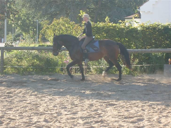 Oldenborg Jasmin(har haft ) - må ikk kopiers..  billede 5