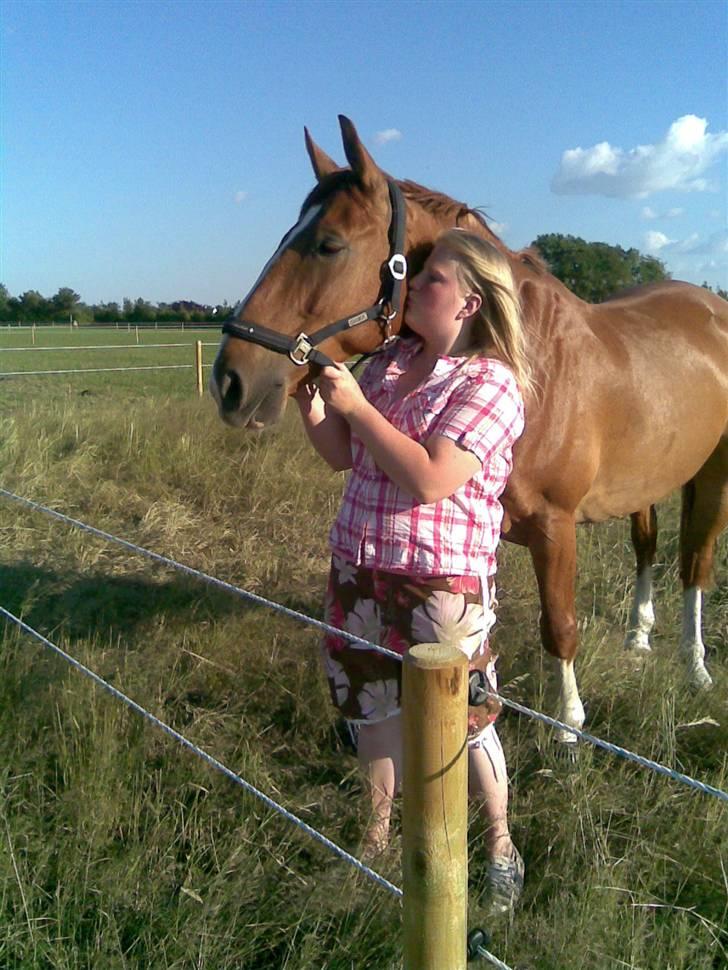Frederiksborg Poseidon SOLGT - Velkommen. Bassen er blevet flyttet til et nyt sted og han er bare blevet så rolig billede 1